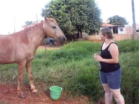 mulher pelada com animal|Mulher vadia fodendo com animais na fazenda